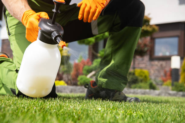 Best Pest Control Cost  in River Bend, NC