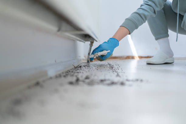 Pest Control Cost in River Bend, NC